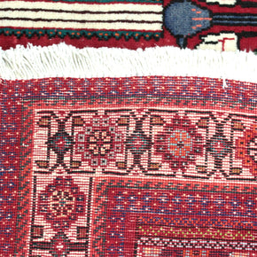 Gabbeh Rug  - 295 cm x 205 cm