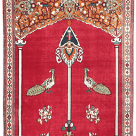 Gabbeh Rug  - 295 cm x 205 cm