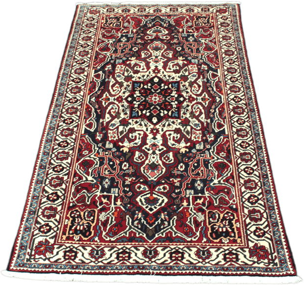 Hamadan Rug  - 293 cm x 168 cm