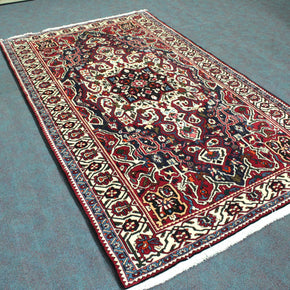 Hamadan Rug  - 293 cm x 168 cm