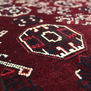 Roshnai Rug  - 290 cm x 204 cm